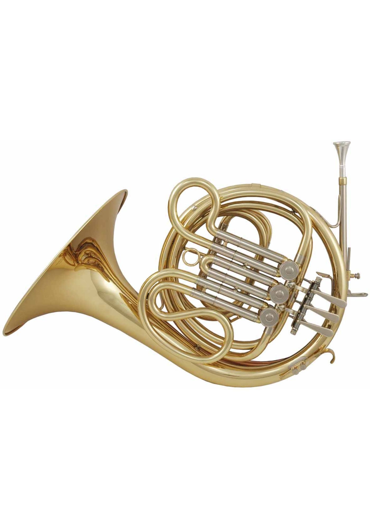 Venus F-Children Horn "FH-300" lacquered