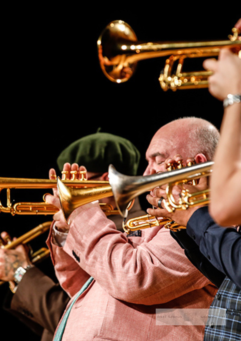 Concert with James Morrison and the Schagerl All Stars! Schagerl Artist