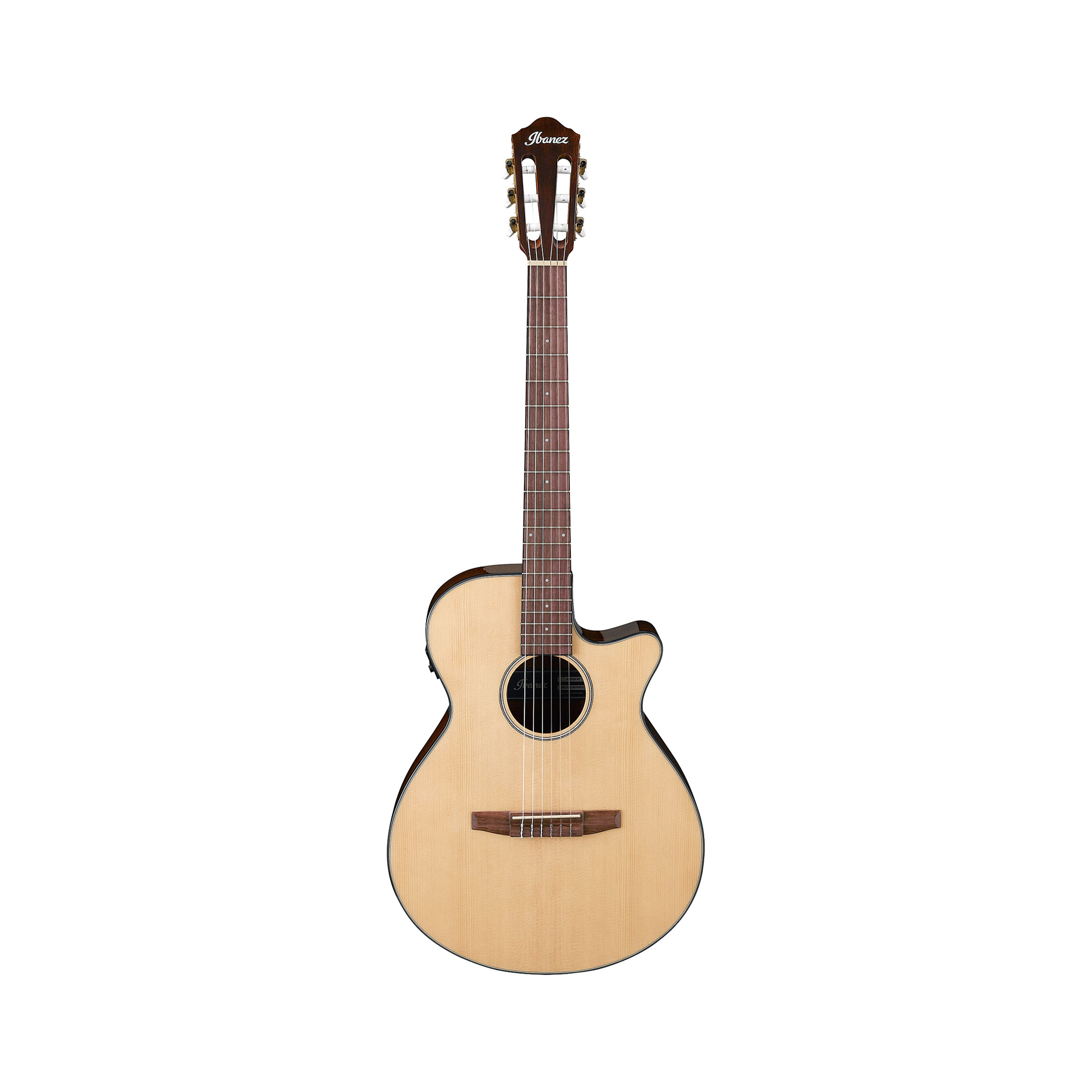 IBANEZ Acouticguitar AEG50N NT